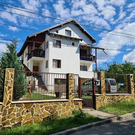 Vila San Nicoara Куртя-де-Арджеш Экстерьер фото
