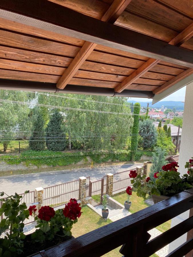 Vila San Nicoara Куртя-де-Арджеш Экстерьер фото